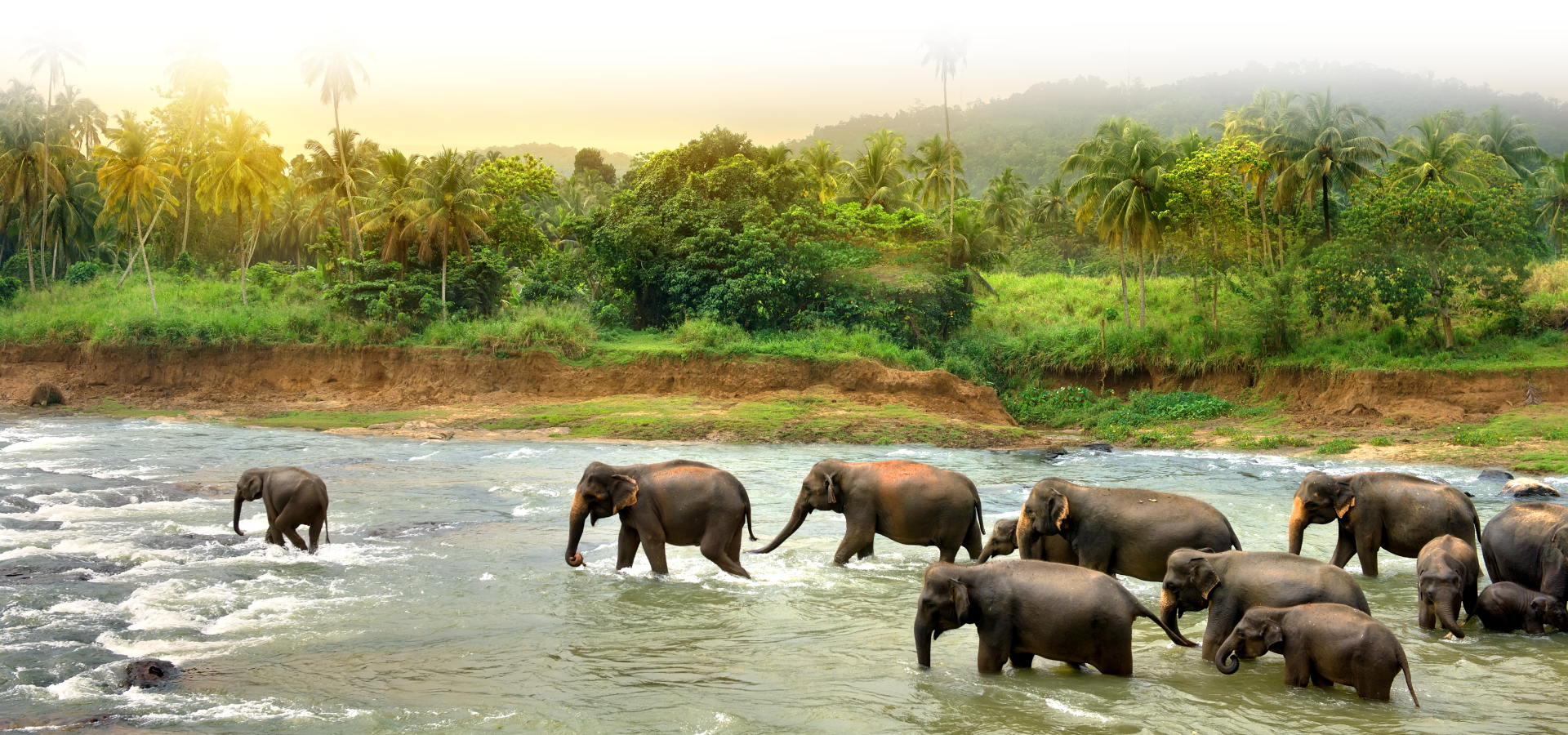 Island Trails Sri Lanka image